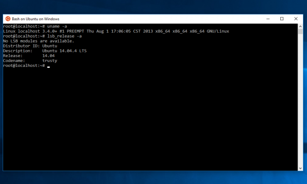 Bash on Ubuntu on Windows (Bild: Screenshot Golem.de)